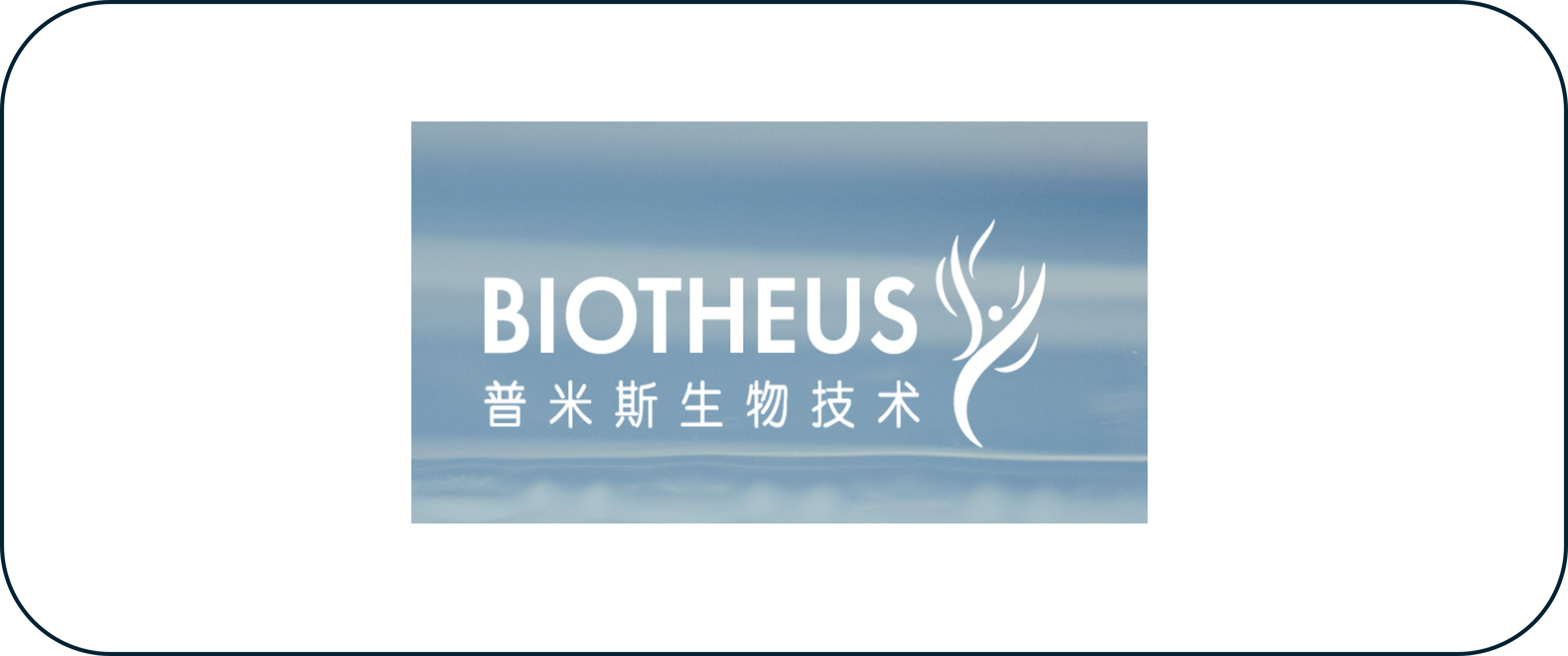 普米斯